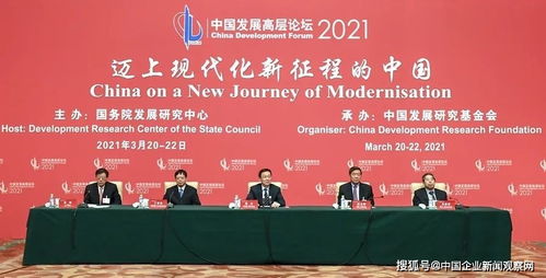 专家盛会 辜卢密主任亮相中国发展高层论坛引领社会经济咨询新航向